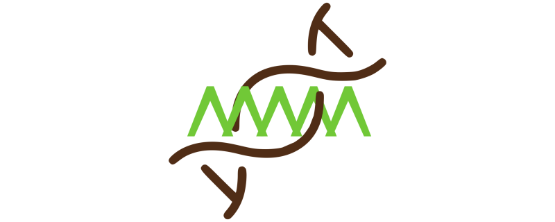 Логотип проекта